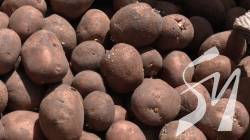 ������ ��������: �� ����������� ����� ������ ������ ������� �� ������� �������