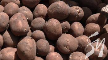 ������ ��������: �� ����������� ����� ������ ������ ������� �� ������� �������