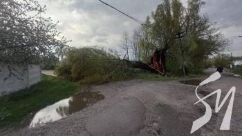 292 �������� ������ ��� ����� �� ���������� ������: ������� ������ �� �����������