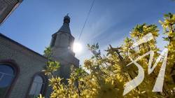 � ���� ����� ����� ��������� ������� ������ �� ���