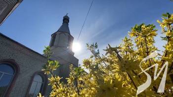 � ���� ����� ����� ��������� ������� ������ �� ���