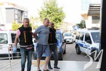 ���������: ����������� �����������, ���� ������ ���� ����, ���������� 