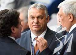 ���������� ���� �� � �������. ������� ���� � ������� ����� ���