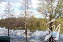 ����������� ������� �� �������� �� ���'��� ���� ������