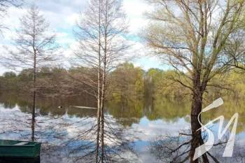 ����������� ������� �� �������� �� ���'��� ���� ������