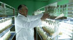 ������� 30 ���� �������: � ������ ������ ����������� ����������, �� ��������� ���������