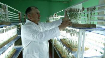 ������� 30 ���� �������: � ������ ������ ����������� ����������, �� ��������� ���������