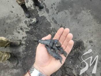 ������ ����������� �� �������: � ������� �� ��������� ����� 100 ����� � ��