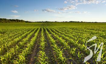 ����� ���� �� ����������� ������ �� ������� ���� ������ ����� ���������