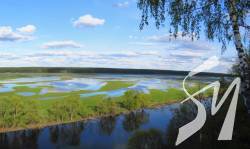 ������ ����� ��� �������. ���������� ������������ ���� �������� ������ �� ��� ����