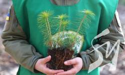 �� � ���� �� ����������� � ���� �������� ����� 7 ��� �����