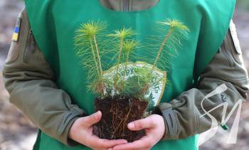 �� � ���� �� ����������� � ���� �������� ����� 7 ��� �����