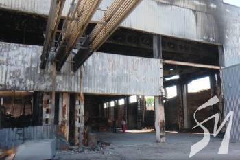 �� 3100 ��������� � �������� �� 24 ������ ��������� ������� ��������� �������� ������� �� 60%