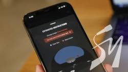 ���� ������� ����� Starlink ��� ���������� ���������