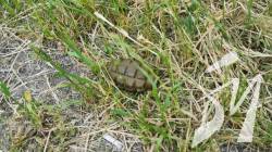 � �������� ������� �������� ��������� ������� �������