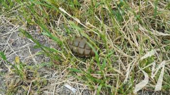 � �������� ������� �������� ��������� ������� �������