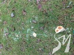 ³�������� �� ����������� �������� ����� ����� � ������������� � ������������ �����������