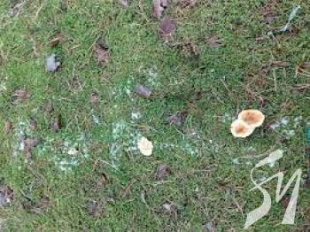 ³�������� �� ����������� �������� ����� ����� � ������������� � ������������ �����������