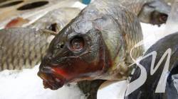 �'����� ��������� ����: � �������� �� �������� ����� ������