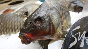 �'����� ��������� ����: � �������� �� �������� ����� ������