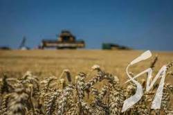 ����� ���� �������� ����� �������� $4,3 ���� � ����������