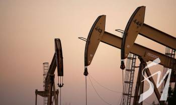 � ������ �������� �������� ��������������, � ³������