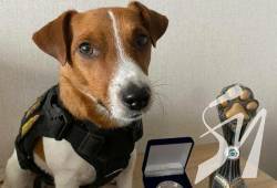 ���-����������� ������ ������� ���� �������� 