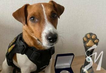 ���-����������� ������ ������� ���� �������� 