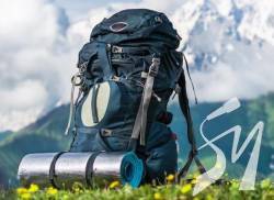 ���������� � �������� ������������ ����������� ��������� ��� ���� � �����������