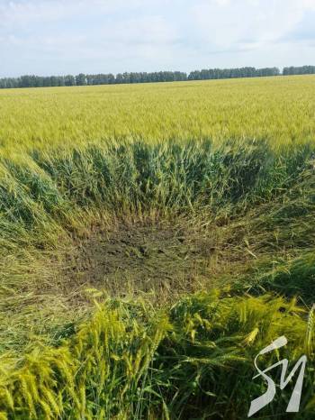 �� ������� ������������� ����� ��������� ���� � ����������