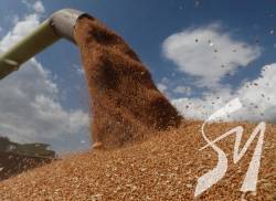 � ����� �� ���������: �� ������� ����������� ������ �������� �� ��� �������������� ����