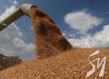 � ����� �� ���������: �� ������� ����������� ������ �������� �� ��� �������������� ����