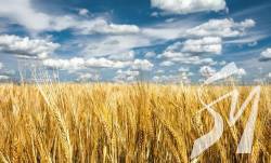 ������ 2022: � ����������� ������ ������ �� 15% �����, ��� � 2021-��