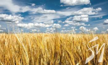 ������ 2022: � ����������� ������ ������ �� 15% �����, ��� � 2021-��