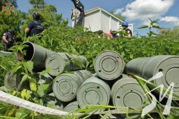 �� ���� �� ����������� �������� 239 ����������������� �������� - ����