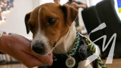 � ������ � � ��������: ��� ������ ������ ���� ����������