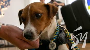 � ������ � � ��������: ��� ������ ������ ���� ����������