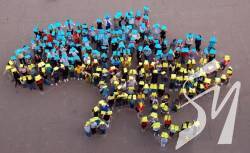 ��� 84% �������� ������ ������������ �������� �����������, � ���������