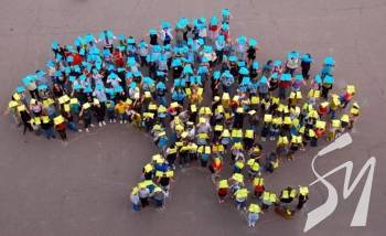 ��� 84% �������� ������ ������������ �������� �����������, � ���������