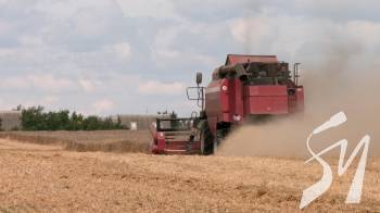 �������� �������, �ᒿ������� ������� �� �������: �� ��������� ����� �� �����������