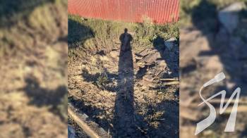 ����, ��� �� �������: ������ ��������� �� ������� �� ����������� 