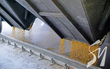 ˳��� ��������� ����� ���������� ����� � �������� ������ � ������