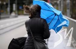 ����������� �������: ��������� ��������� �������� ������������ ����� ��������� ����