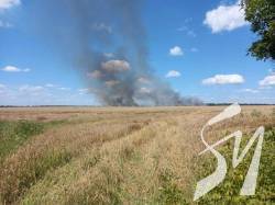 �� ���� �������� ���� ��������� ����������� ������� �� �����������