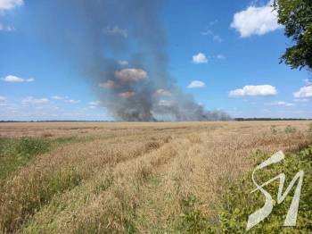 �� ���� �������� ���� ��������� ����������� ������� �� �����������