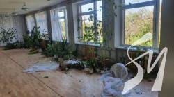 ���� ������� ������ ���� �� �������: �� ���� ��������� �������� ������� � �����