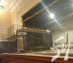 ������ ������ ������� ������ �� ��� �������� ��� ����������� �������� � ���� �����������, � ���