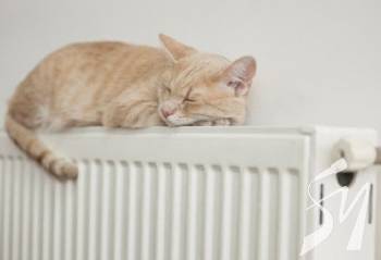 ������������ ����� � ��������: �� ������ � ������ ������