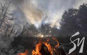 �� ������� ����� ������� ����� ������� ����� ������