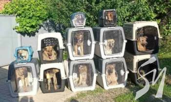 ���-������� � ��������� ���������� � ������� ����� ����� 200 ����� �� ����